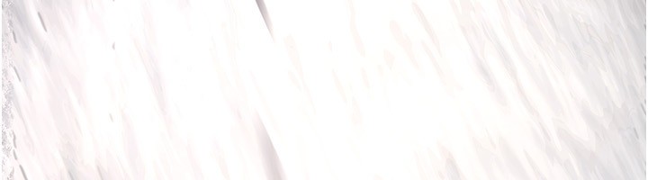 233.jpg