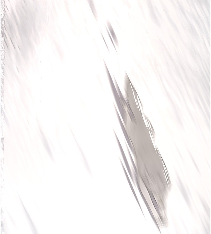 235.jpg