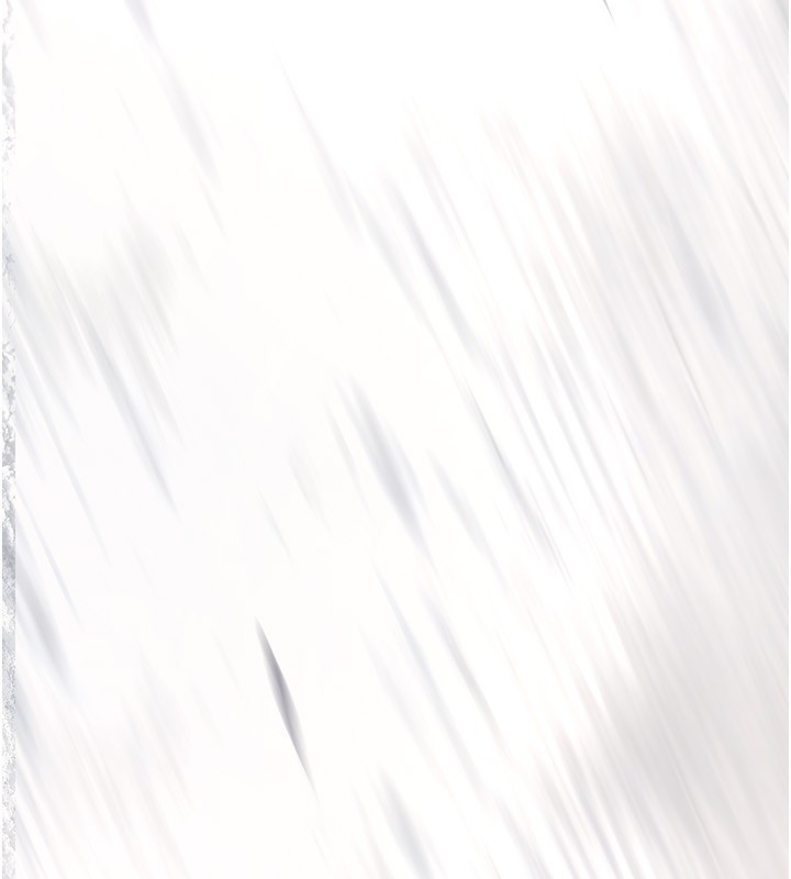 237.jpg