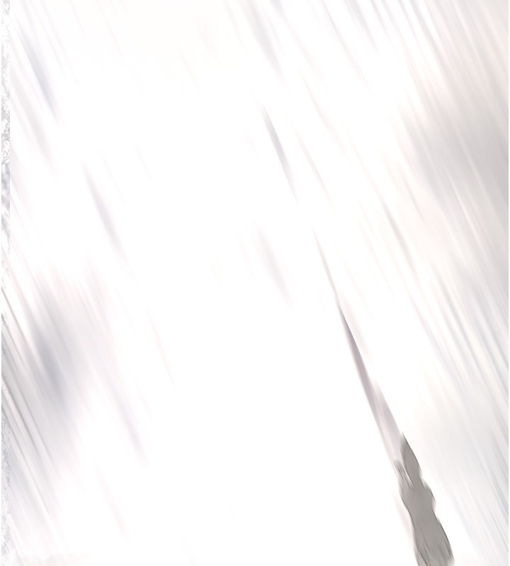 239.jpg