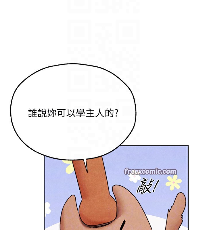 205.jpg