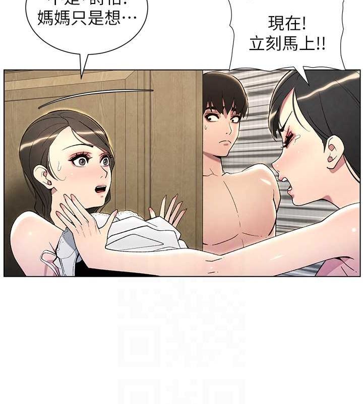 81.jpg