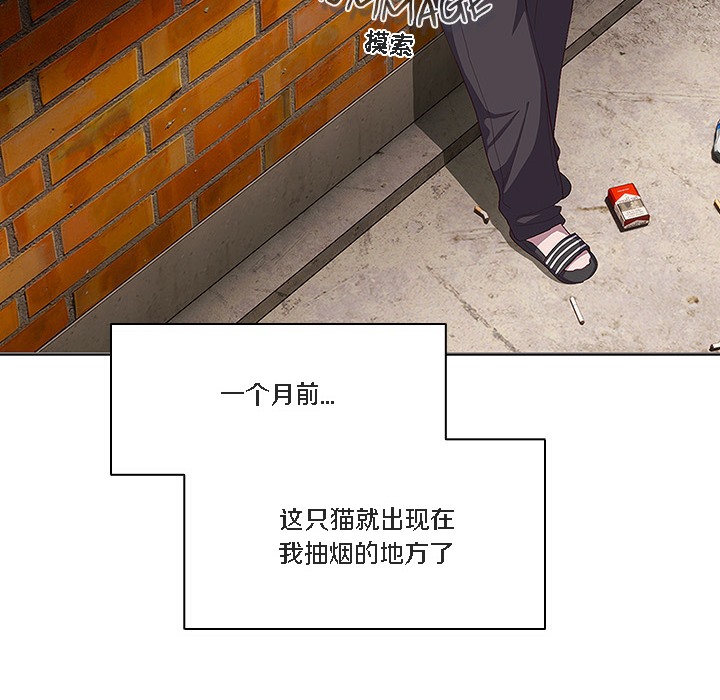 【全彩韩漫】貓貓牽紅線 第1-3話