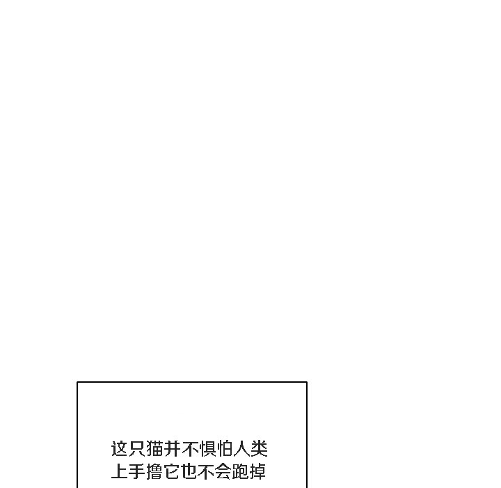 【全彩韩漫】貓貓牽紅線 第1-3話
