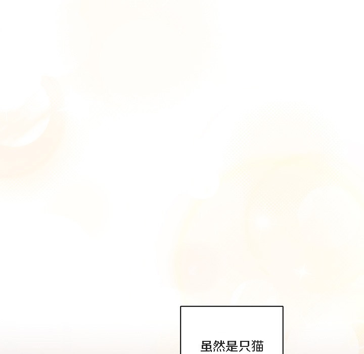 【全彩韩漫】貓貓牽紅線 第1-3話