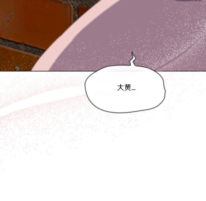 【全彩韩漫】貓貓牽紅線 第1-3話