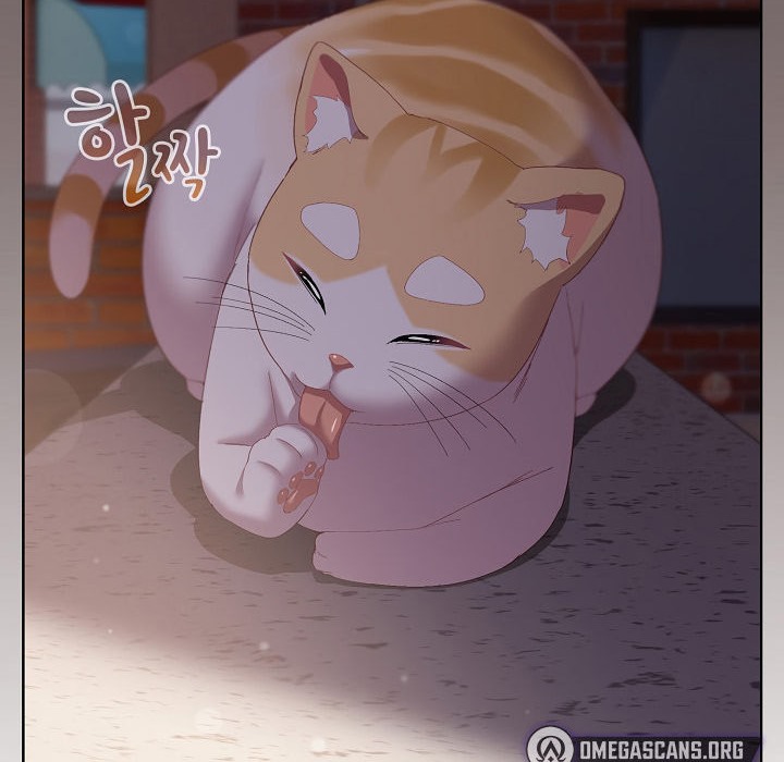 【全彩韩漫】貓貓牽紅線 第1-3話