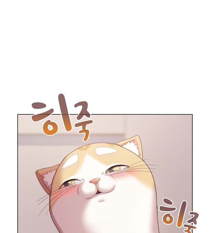 113.jpg