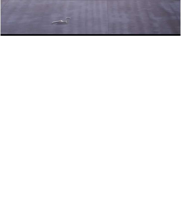 246.jpg