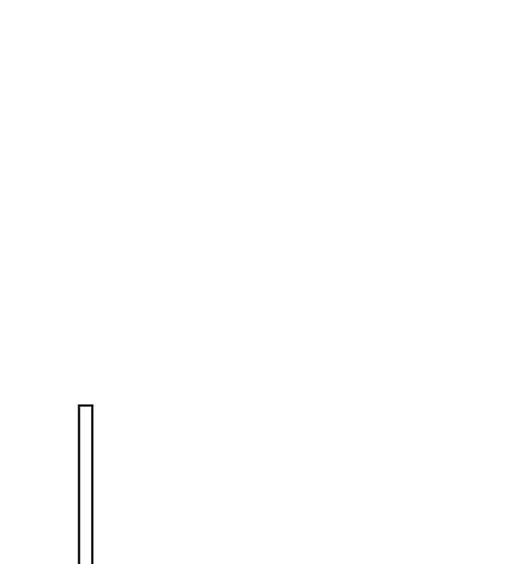 81.jpg