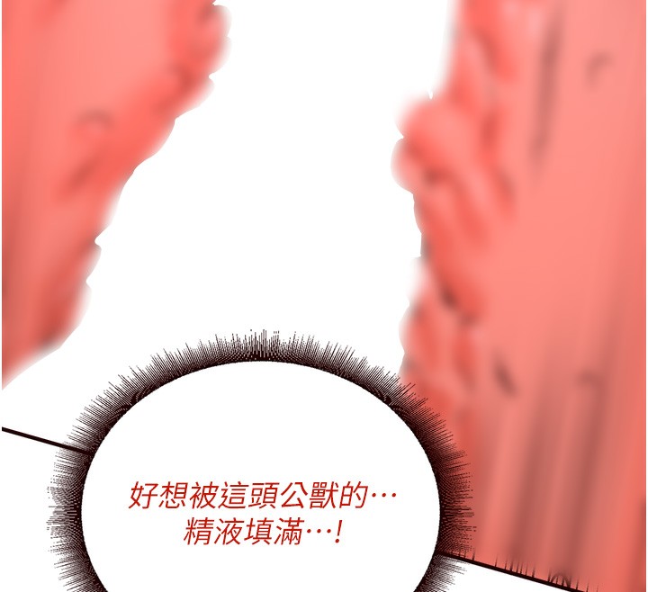 219.jpg